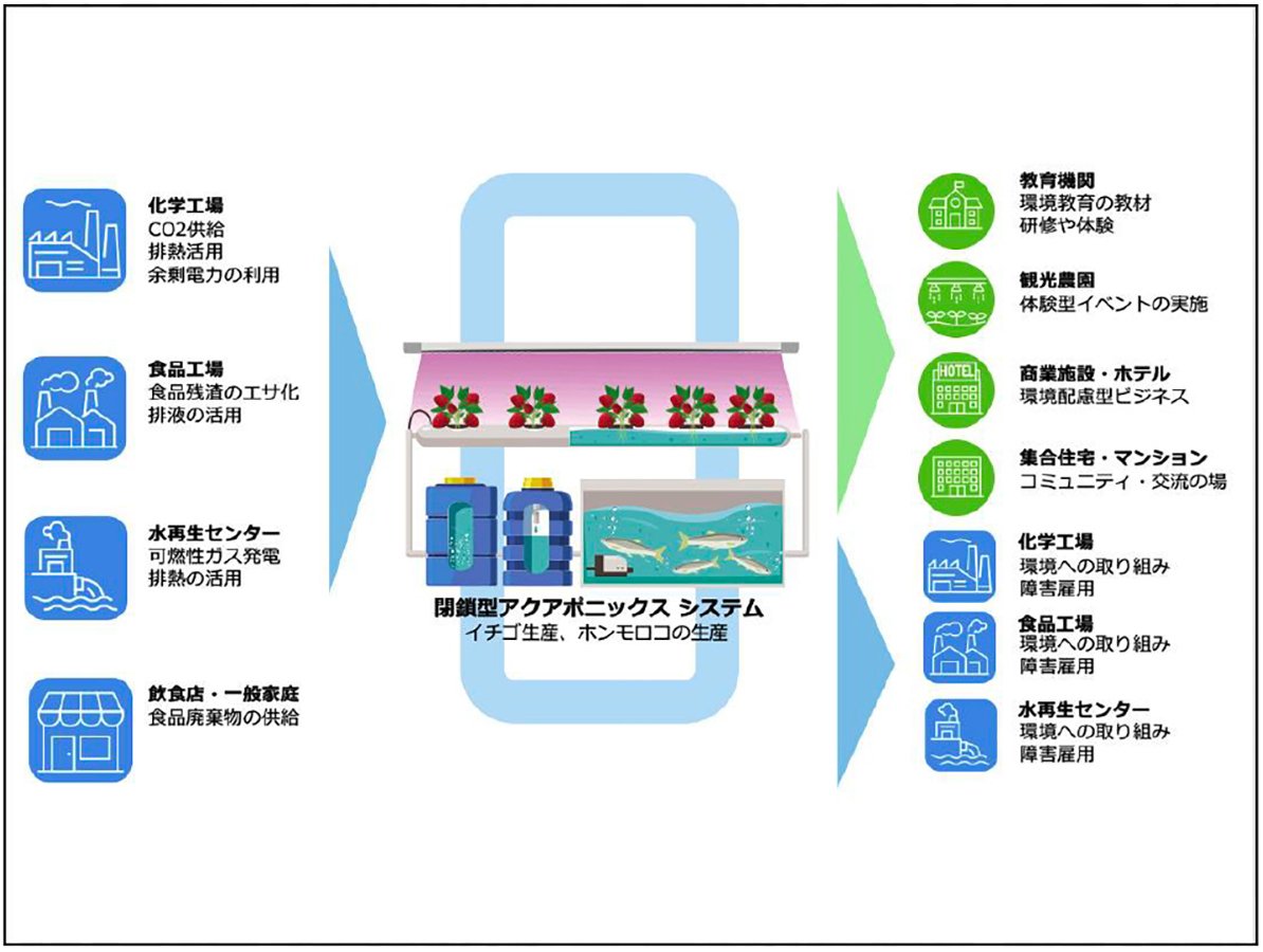 「閉鎖型アクアポニックス システム」の社会実装イメージ