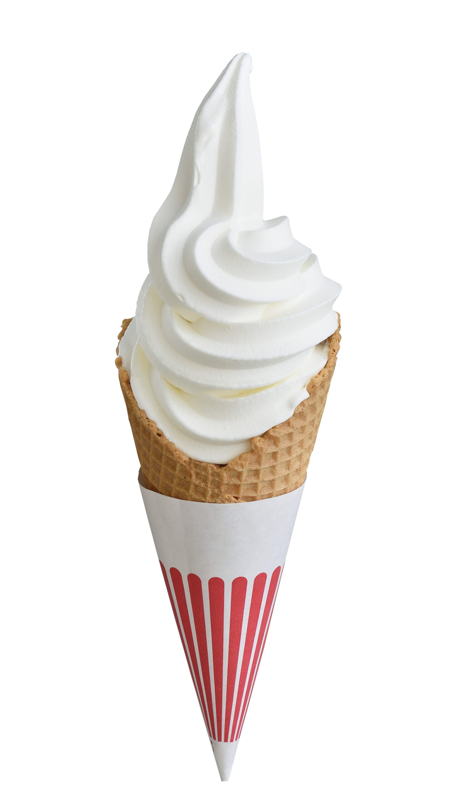 ラケッティのラクーンサルーン