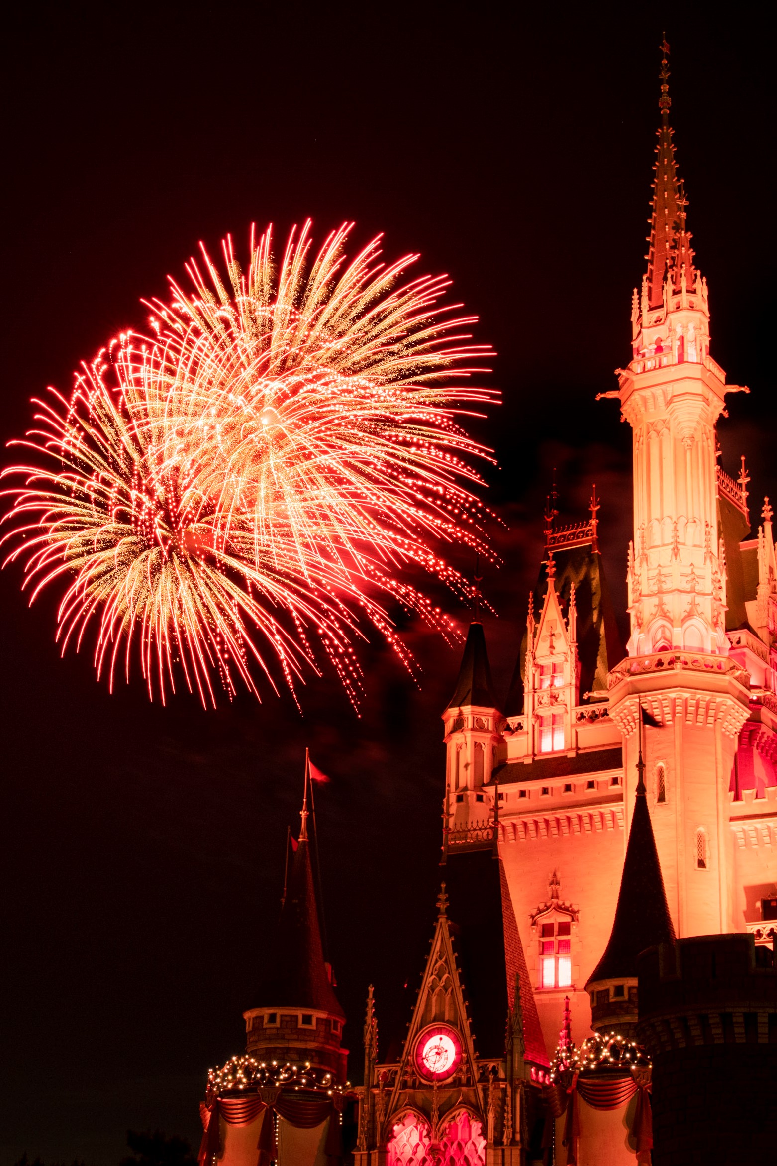 東京ディズニーリゾート スカイ・フル・オブ・カラーズ
