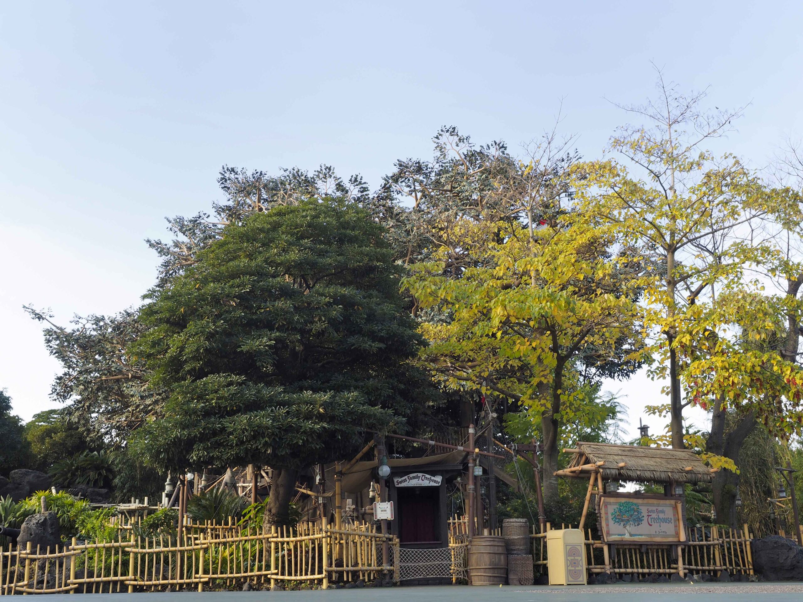 東京ディズニーランド スイスファミリー・ツリーハウス