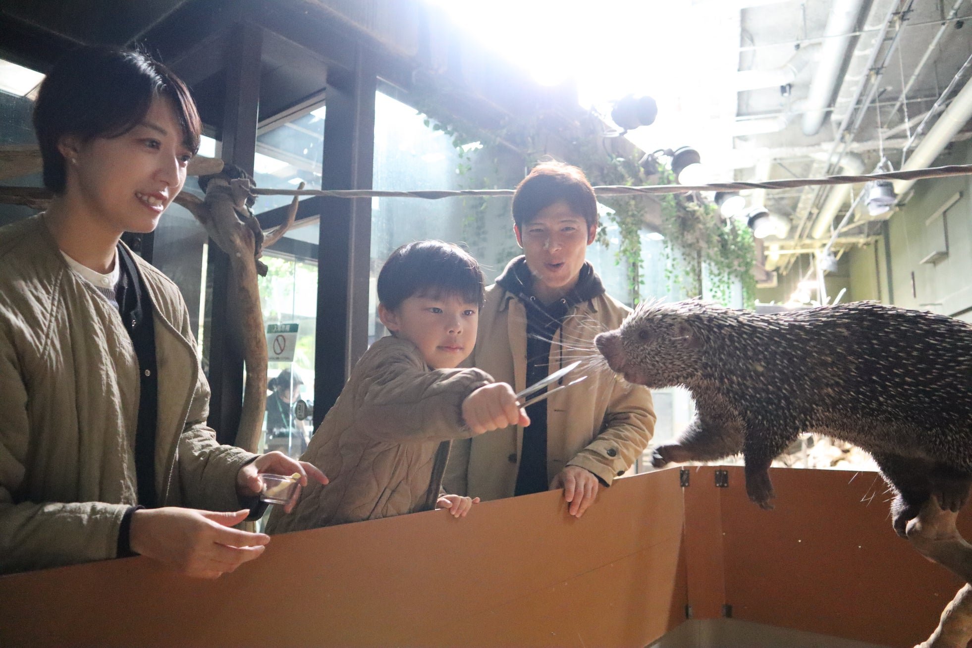 飼育スタッフによる解説イベント