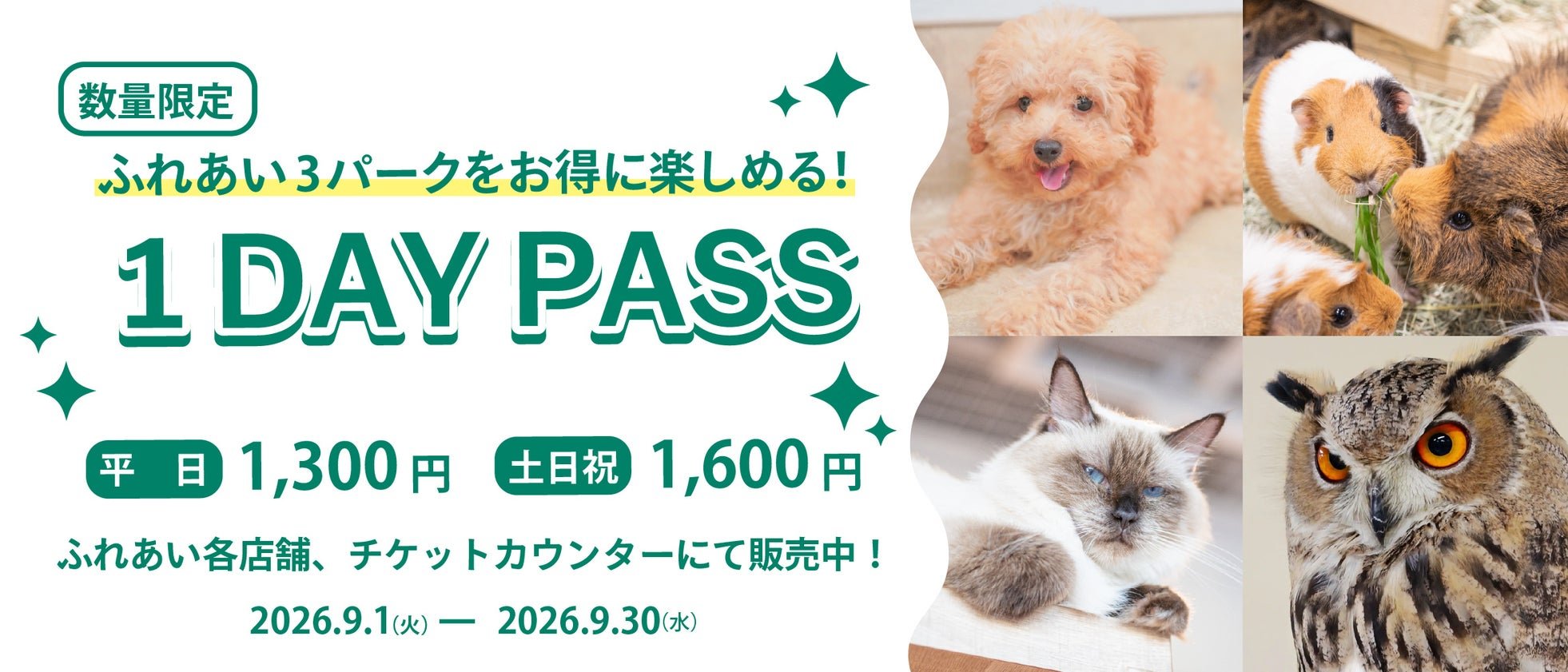 「1DAY PASS」料金案内