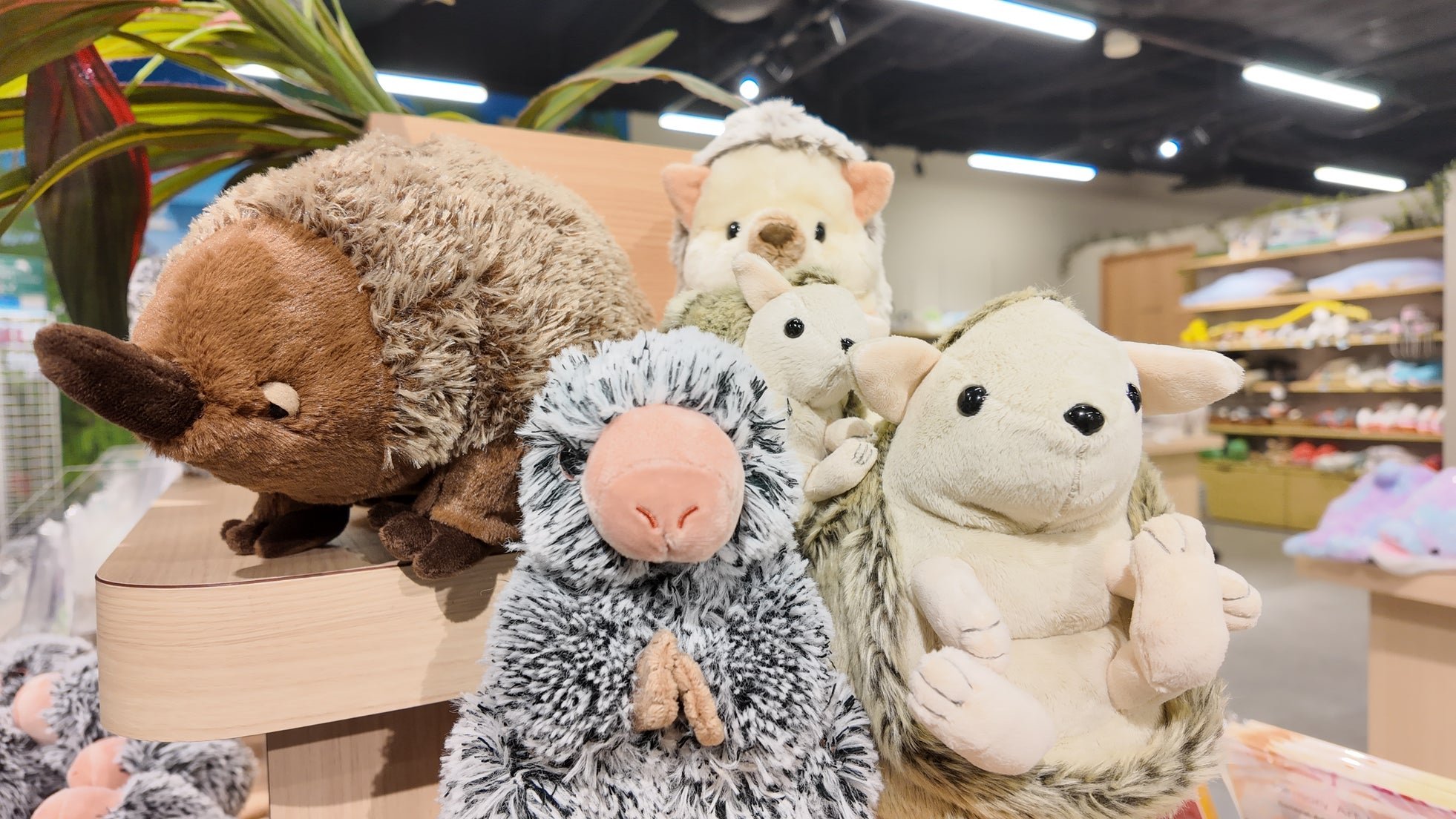 トゲトゲの生きもののぬいぐるみ
