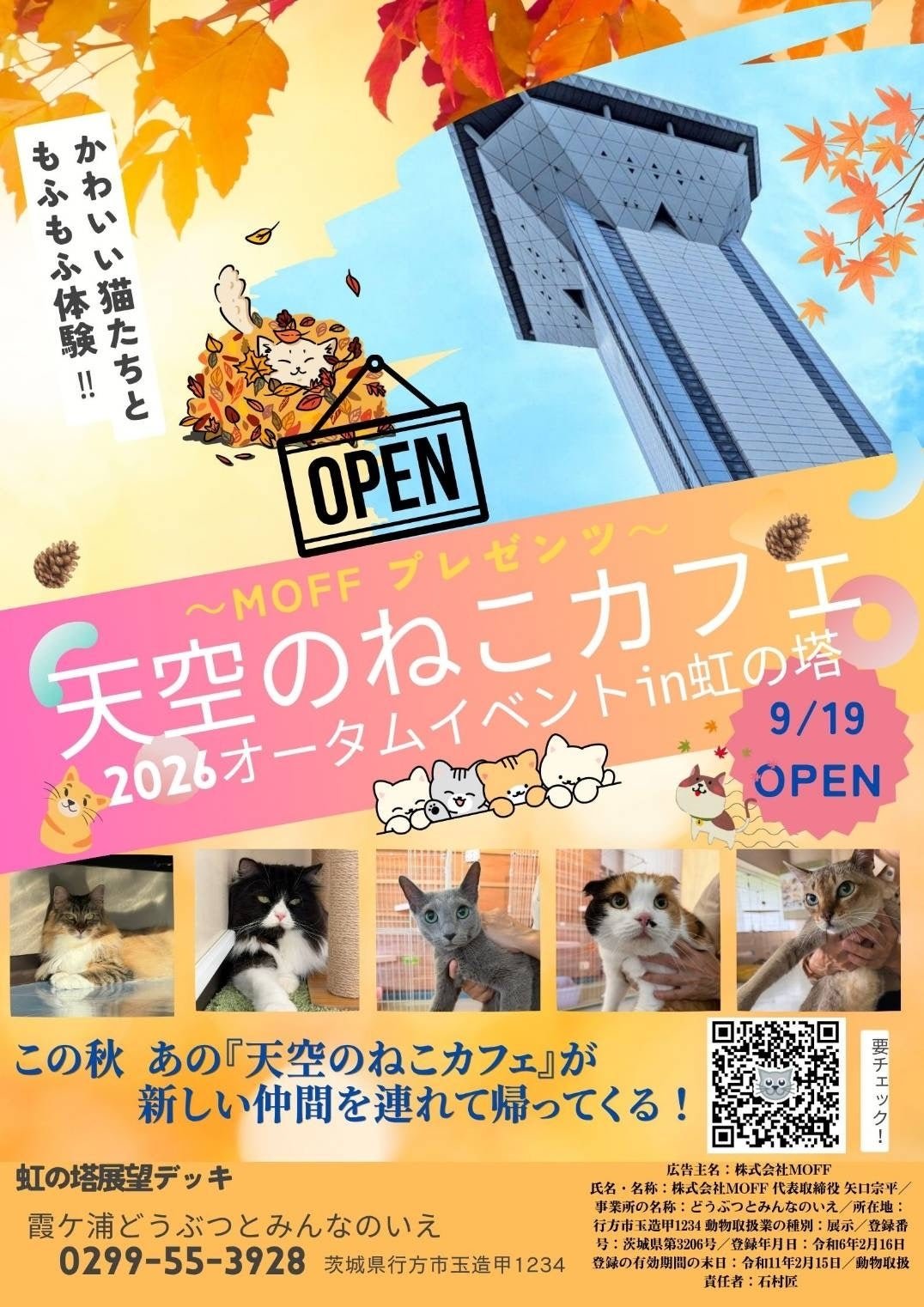 「天空のねこカフェ」告知ビジュアル