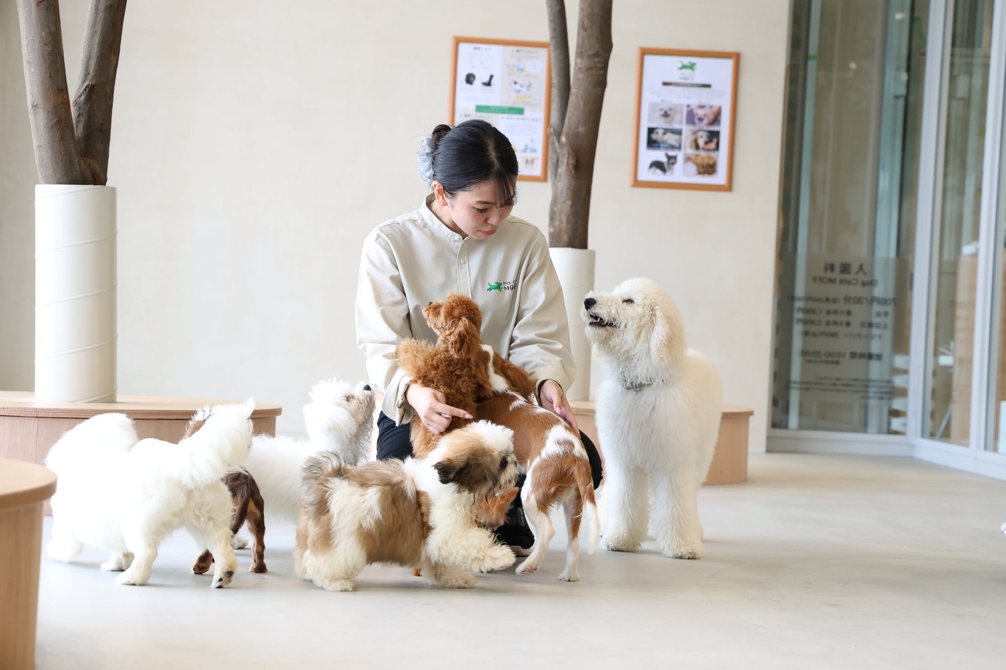 「Dog Cafe MOFF」の犬たち