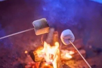 焼きマシュマロ体験