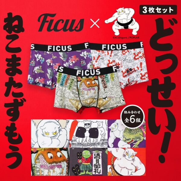 どっせい!ねこまたずもう×FICUS 3枚セットボクサーパンツ メインビジュアル