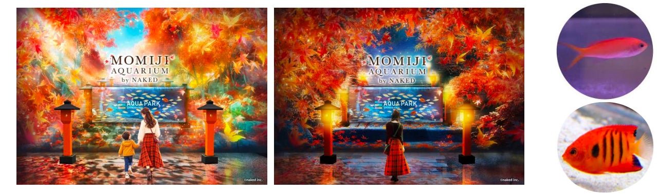 紅葉と赤灯篭が並ぶ「舞紅葉の物語」エントランス