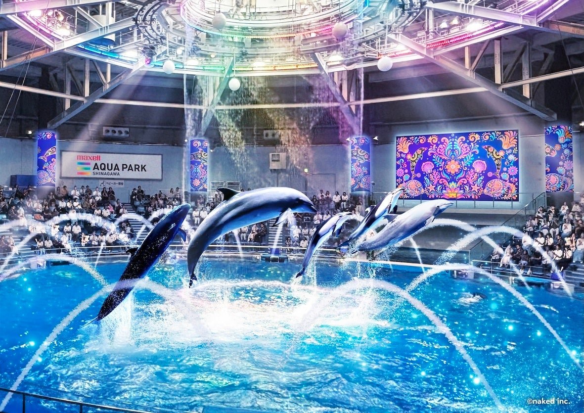 カラフルな照明の中でジャンプするイルカたちの「Autumn Dolphin Festa」