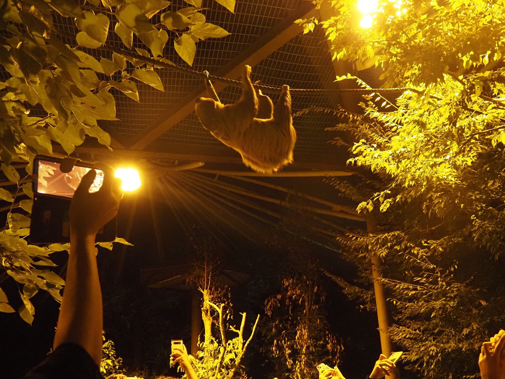 埼玉県こども動物自然公園“ナイトズー2026!! 夜の動物園を楽しもう!”