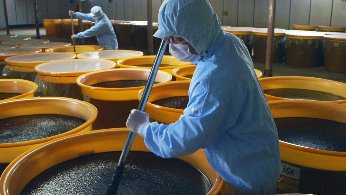 樽を管理する万田発酵の発酵職人