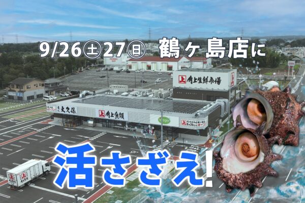 「埼玉の海」角上魚類 鶴ヶ島店に高鮮度さざえをお届けします！