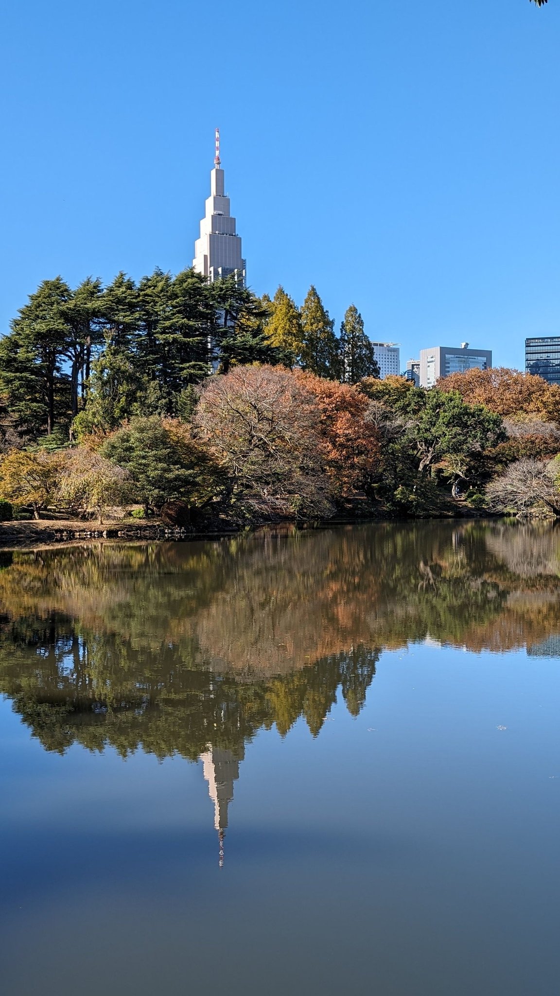 新宿御苑