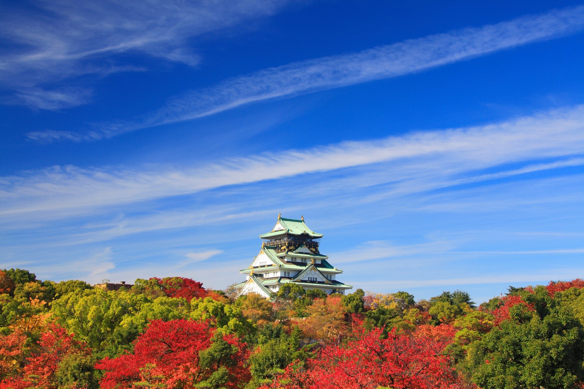 紅葉に彩られた大阪城天守閣