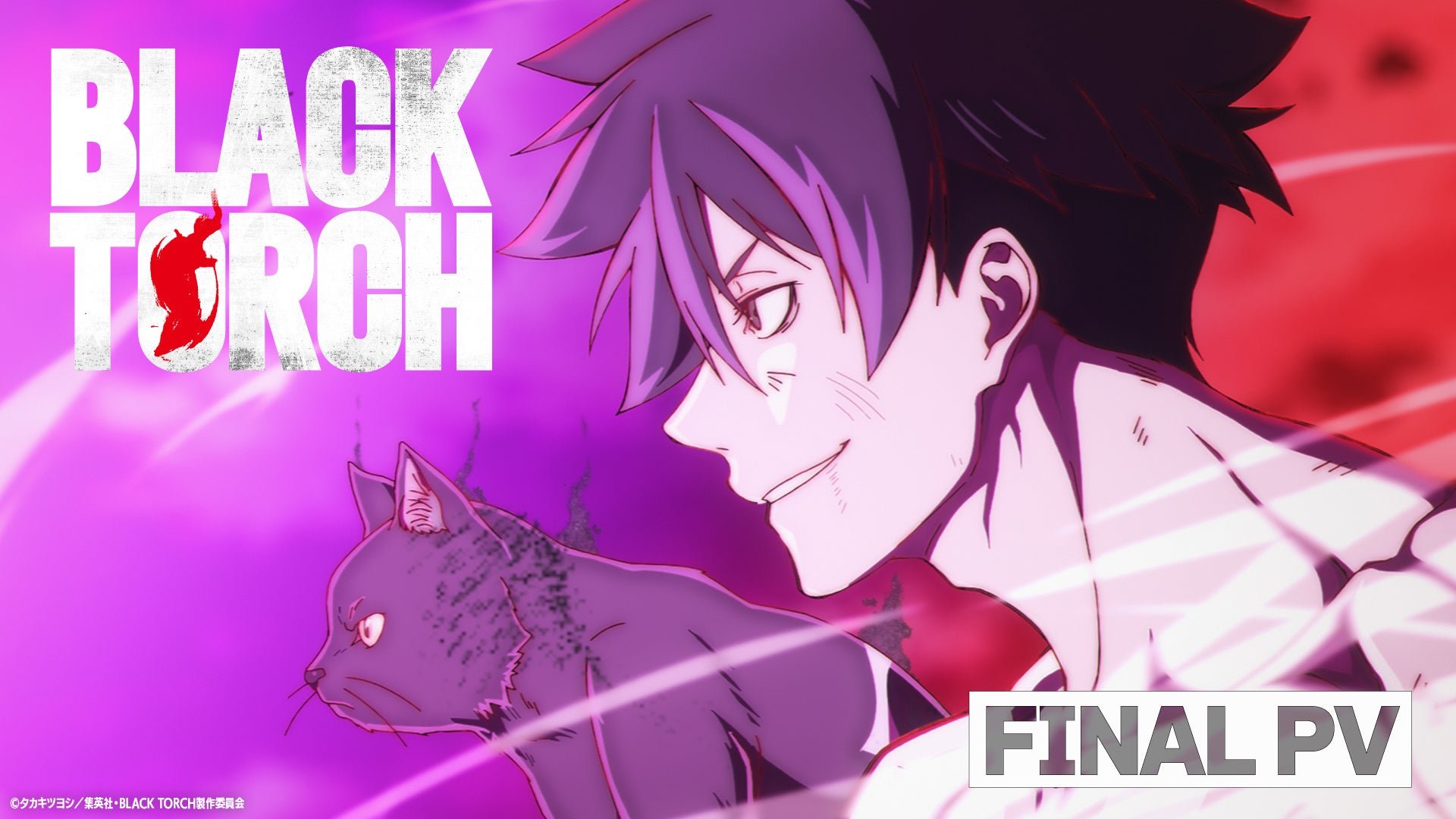 FINAL PVカット