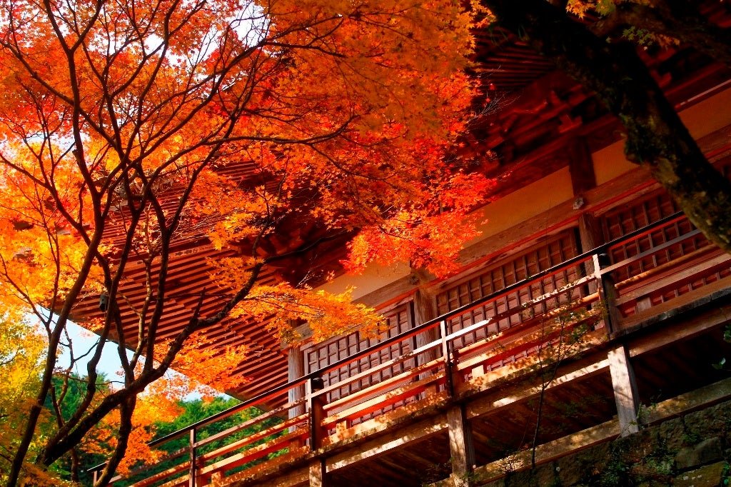 両子寺（国東市）