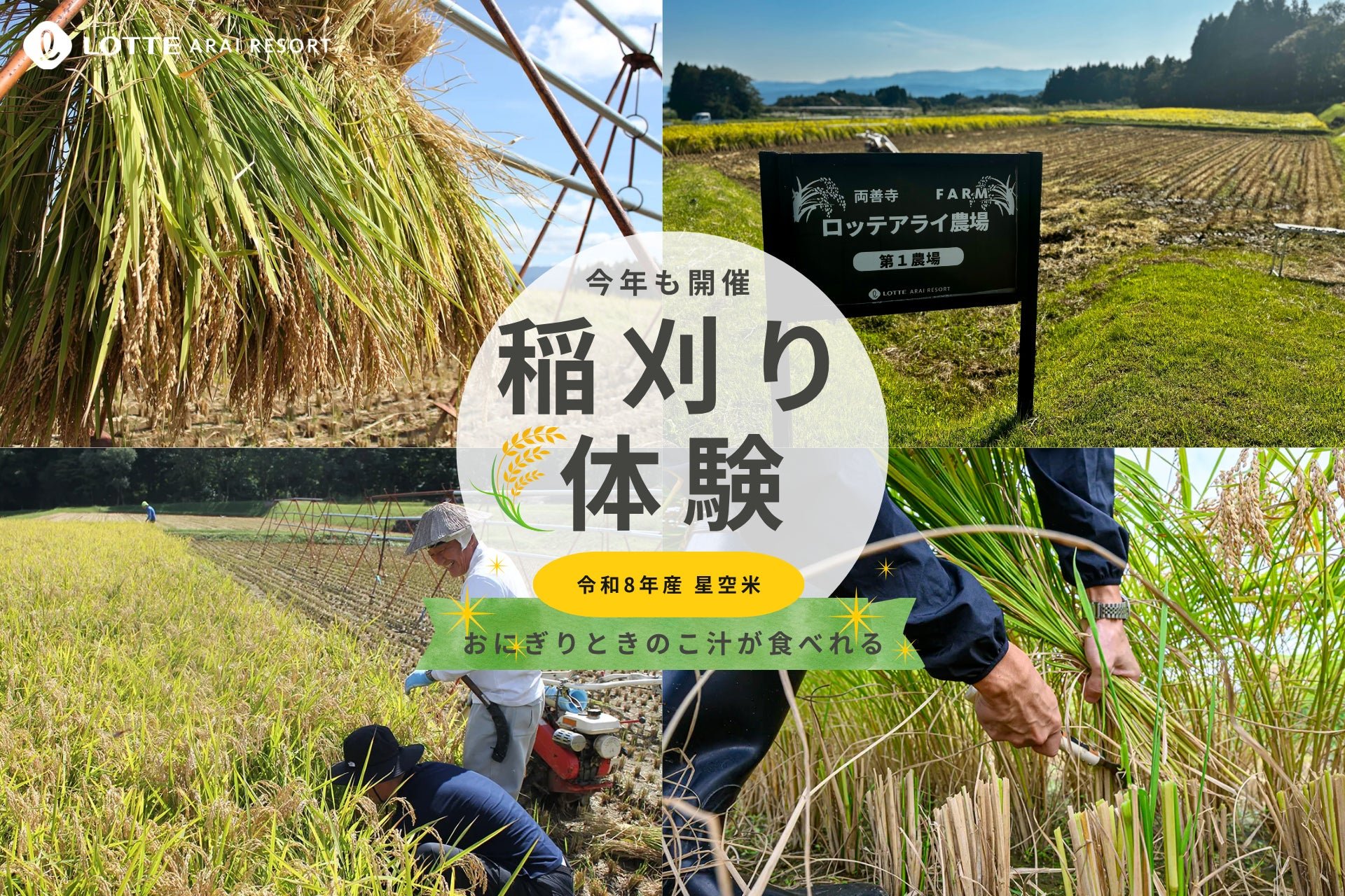 “星空米”稲刈り体験ツアー メインビジュアル(イメージ)