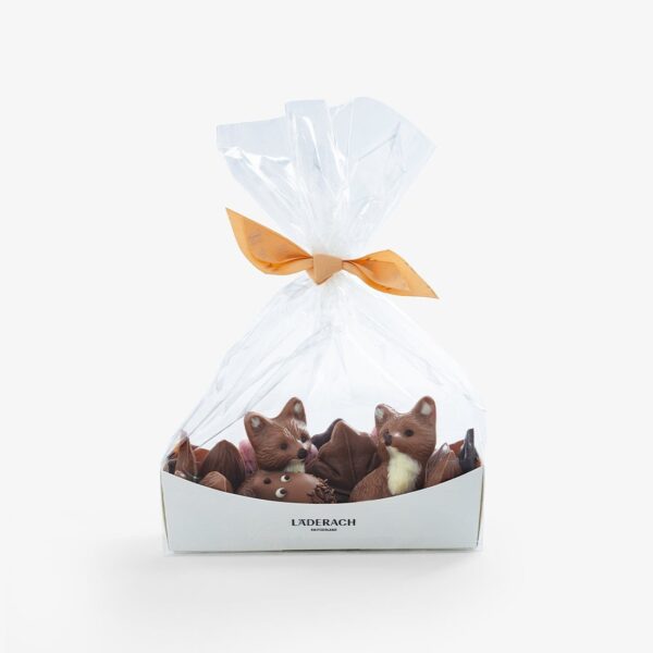 フォックス チョコレート バスケットの個包装