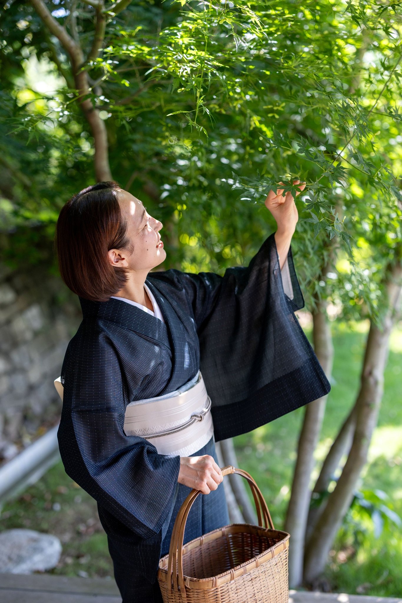 浴衣姿の女性が竹籠を手に木の葉に触れる様子
