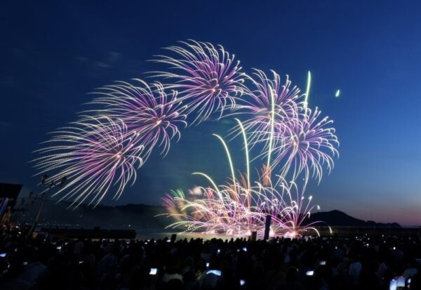 夜空に咲く大輪の花火と観客