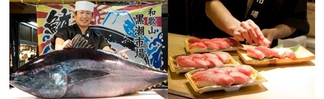 生マグロと握り寿司職人の手元