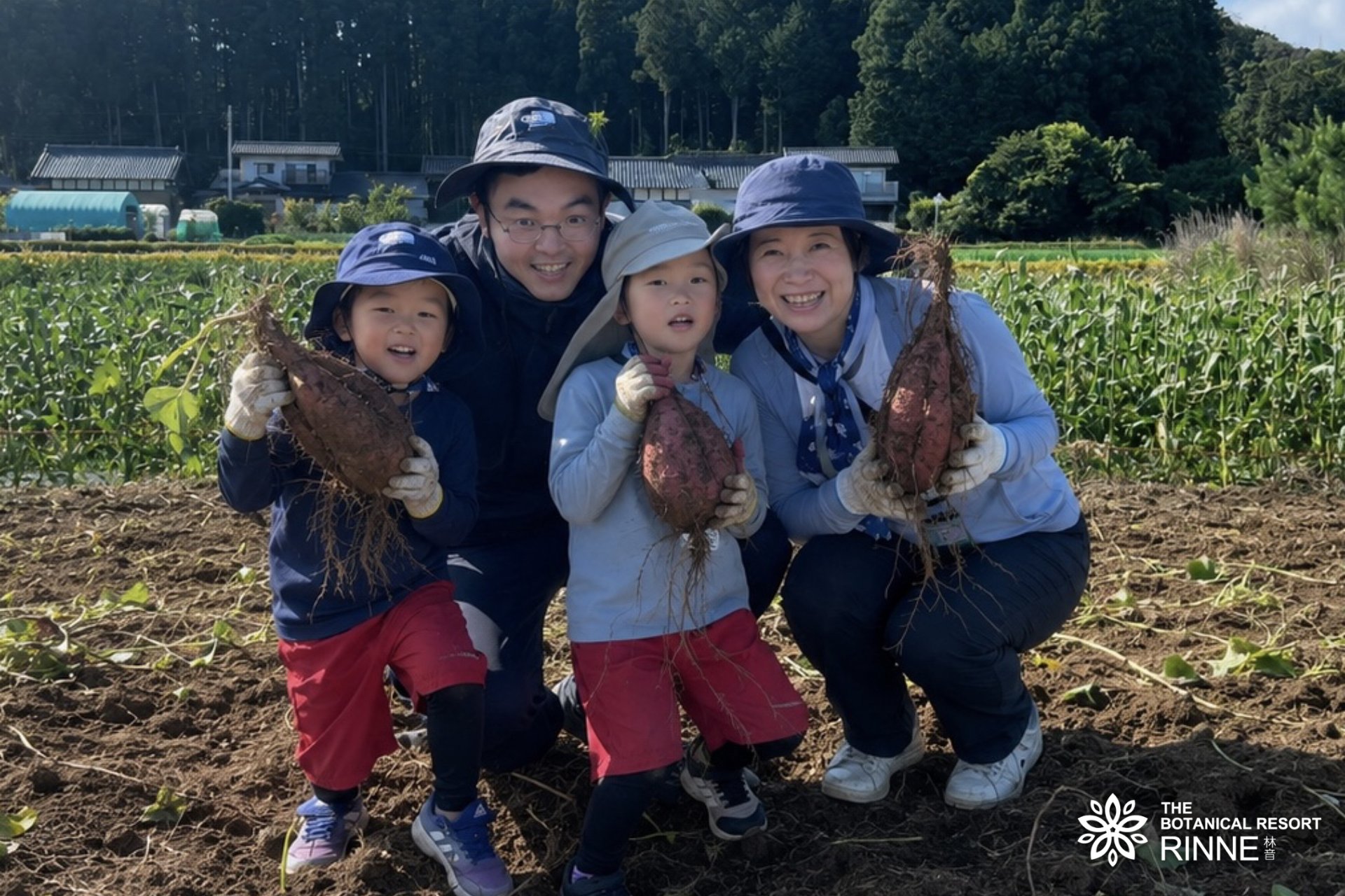土の中から「紅はるか」を自分の手で“掘る” / さつまいも掘りの様子