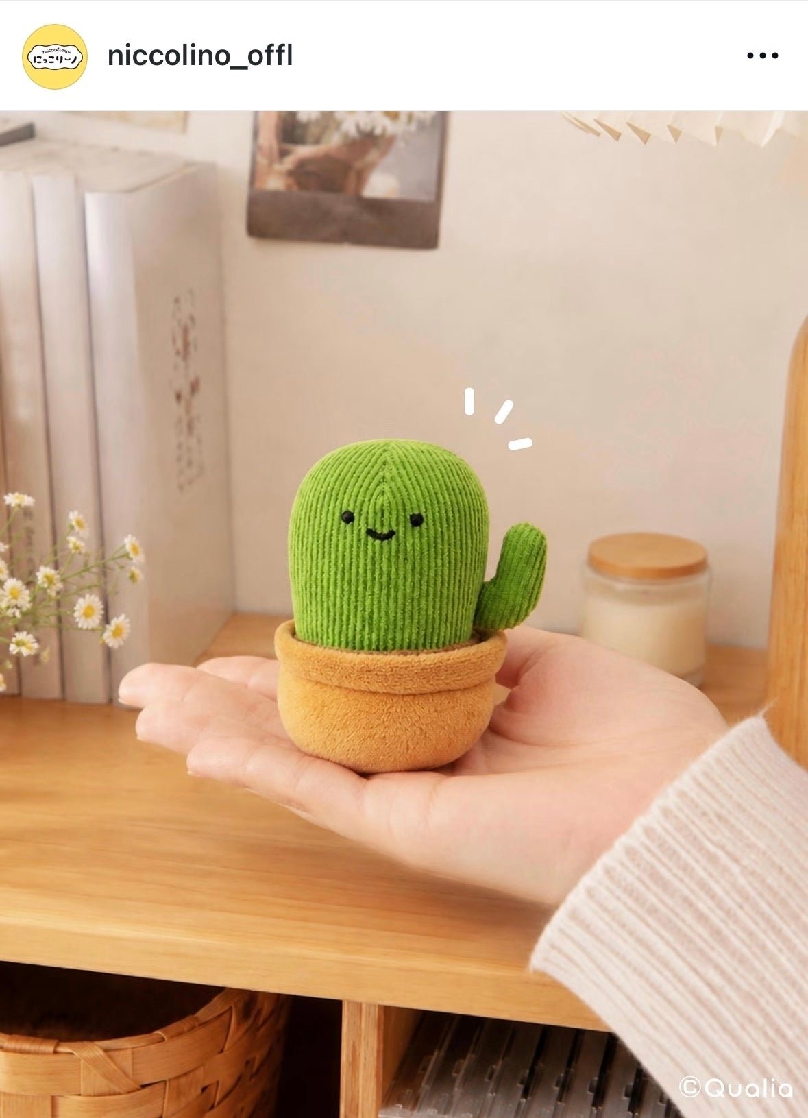 にっこりーノ公式Instagramに投稿されたカプセルトイ「サボテン」