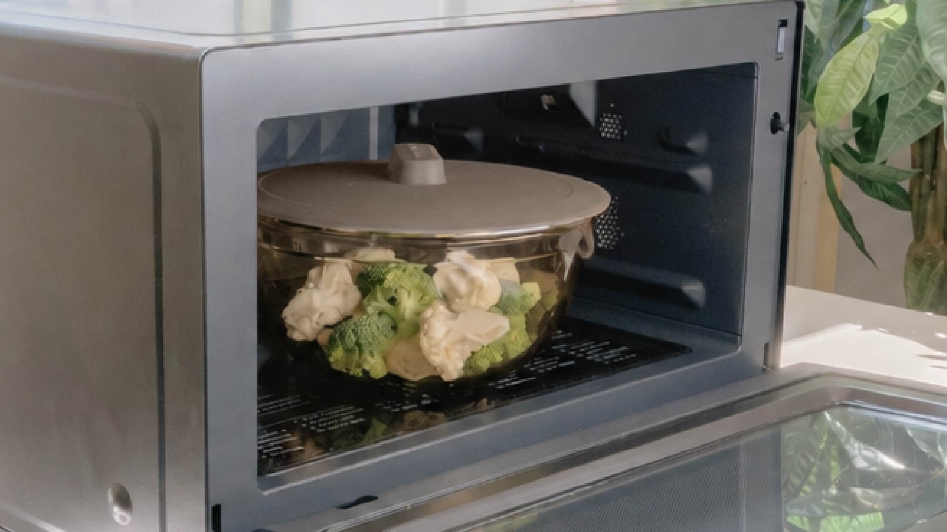 電子レンジでの調理や温め直しに