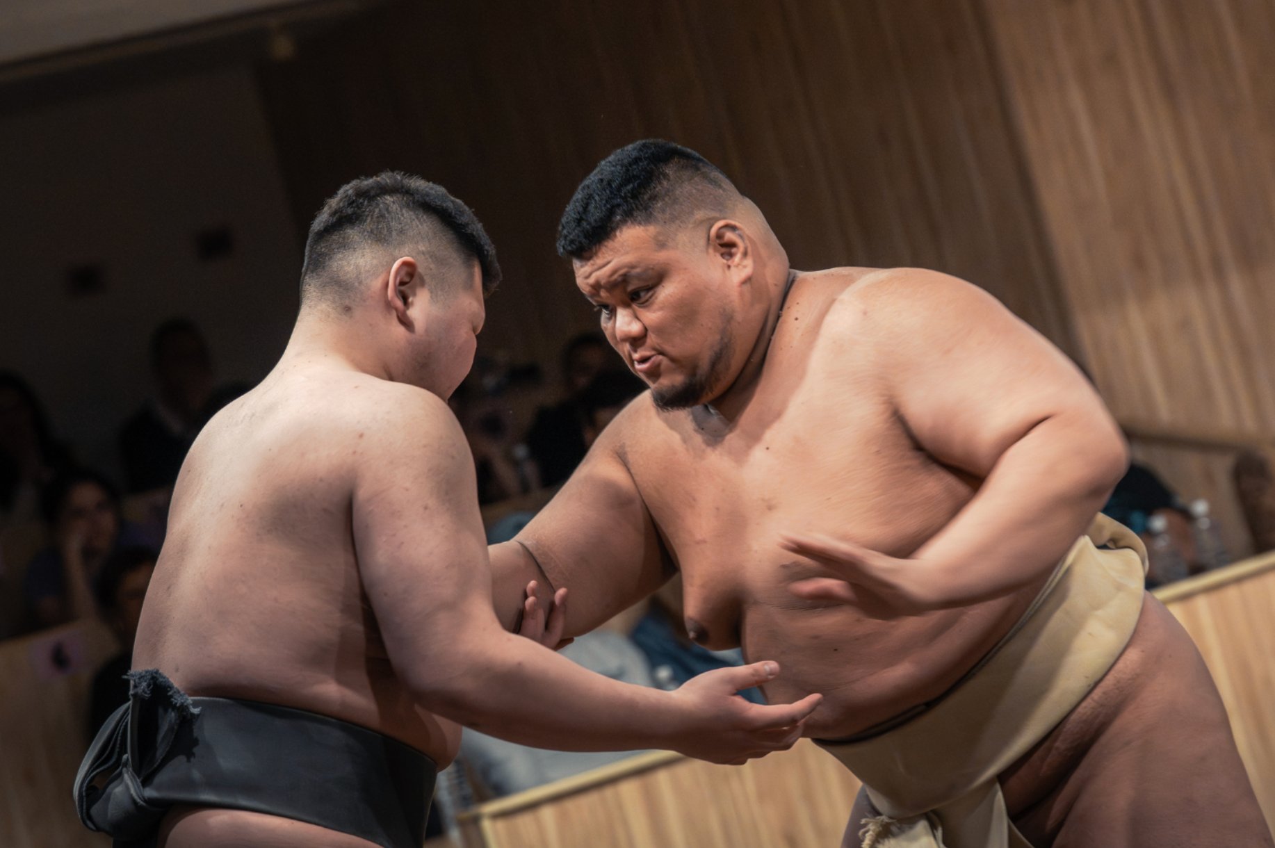 元プロ力士による迫力の取組