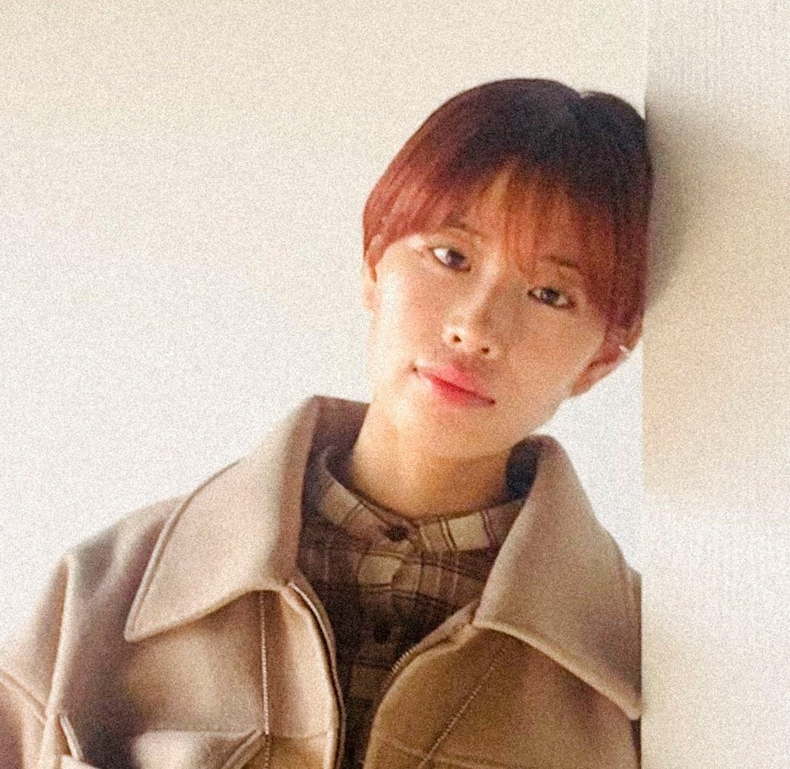 moiさんプロフィール