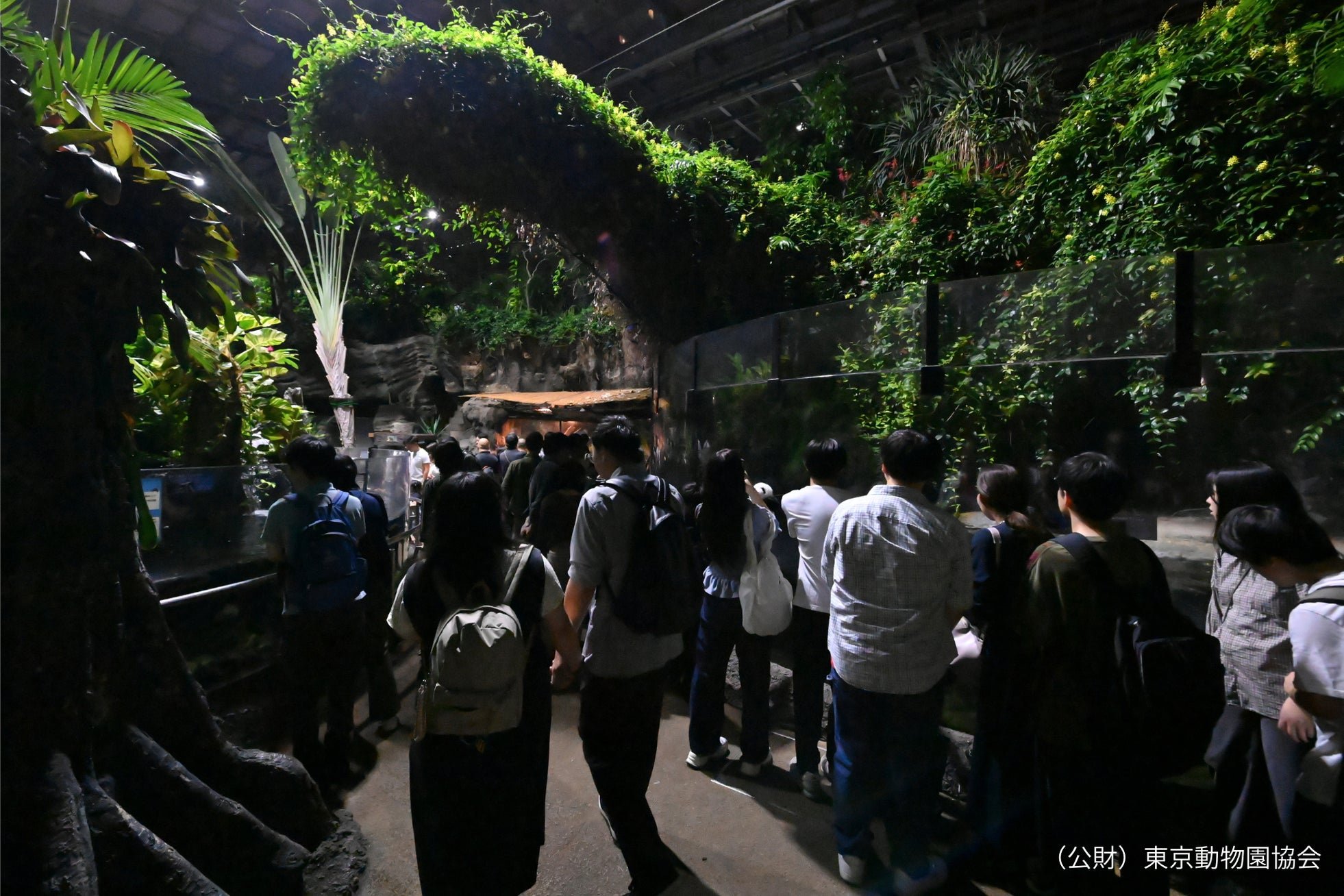 西園・両生爬虫類館 ナイトビバリウム(昨年度のようす)