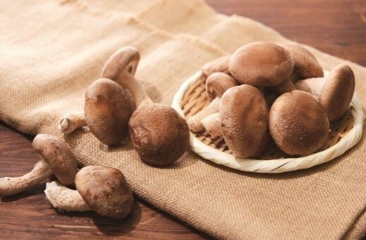 肉厚椎茸