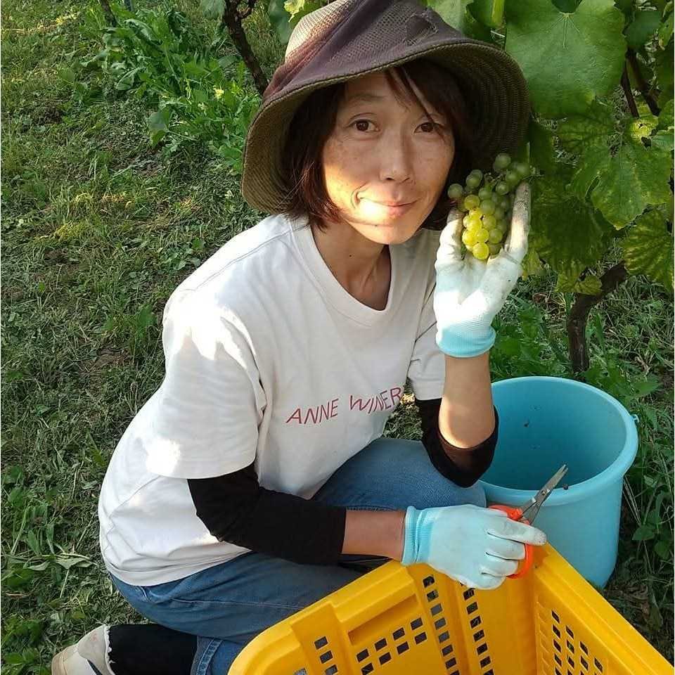 軽井沢アンワイナリー