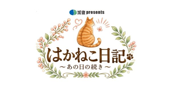 20945-2805-78807fc5788d4f330d393c8f5409fa58-1920x1080.jpgの公式画像