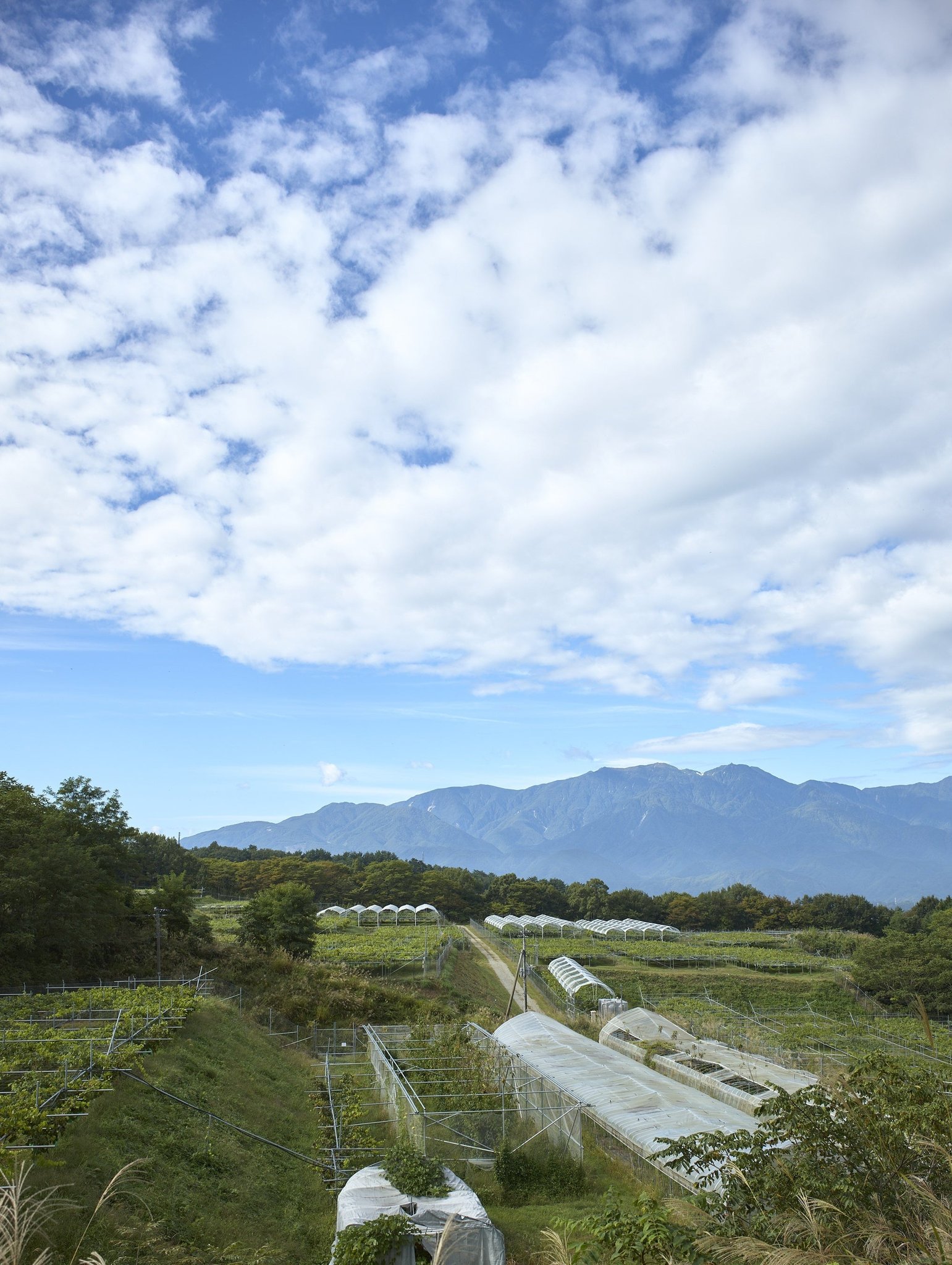山々に囲まれた契約農園の風景