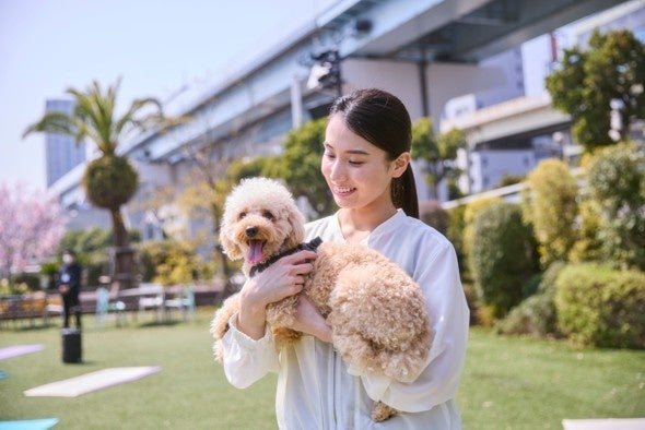 スマホで楽しむフォトレッスン（イメージ）