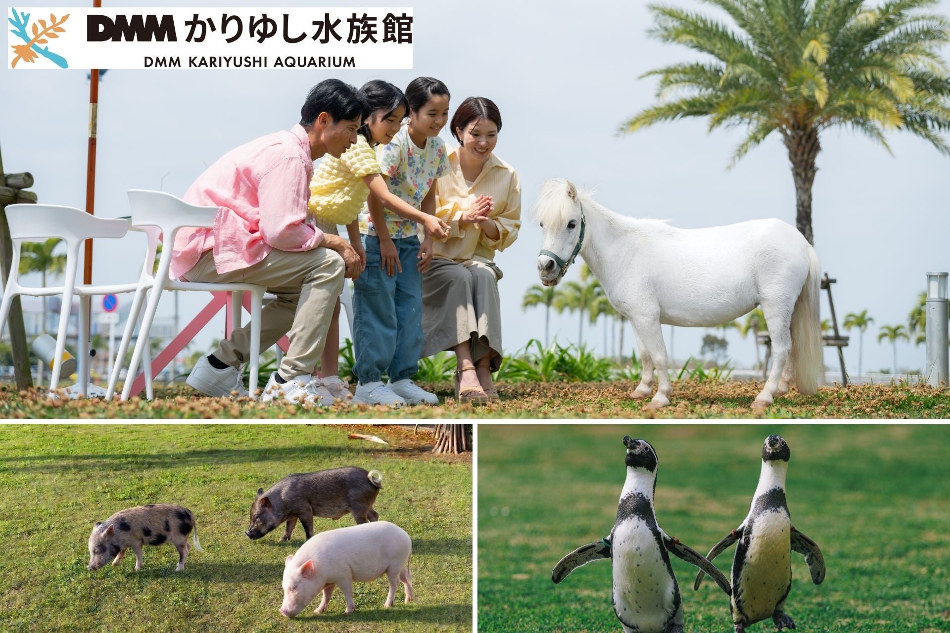 ふれあい広場tetote 屋外エリア(イメージ)