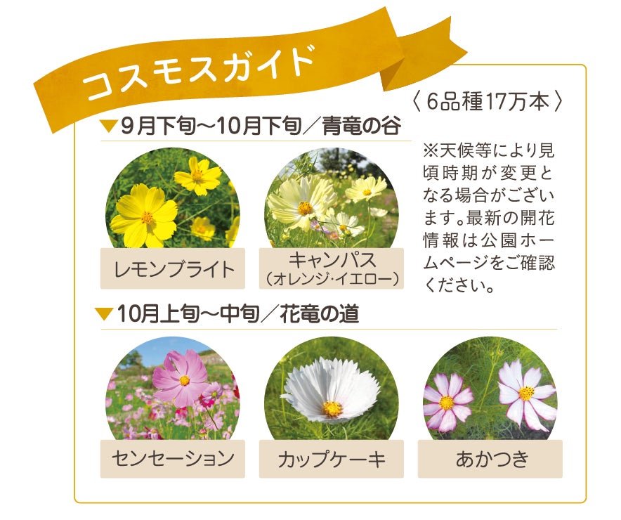 コスモスガイド
