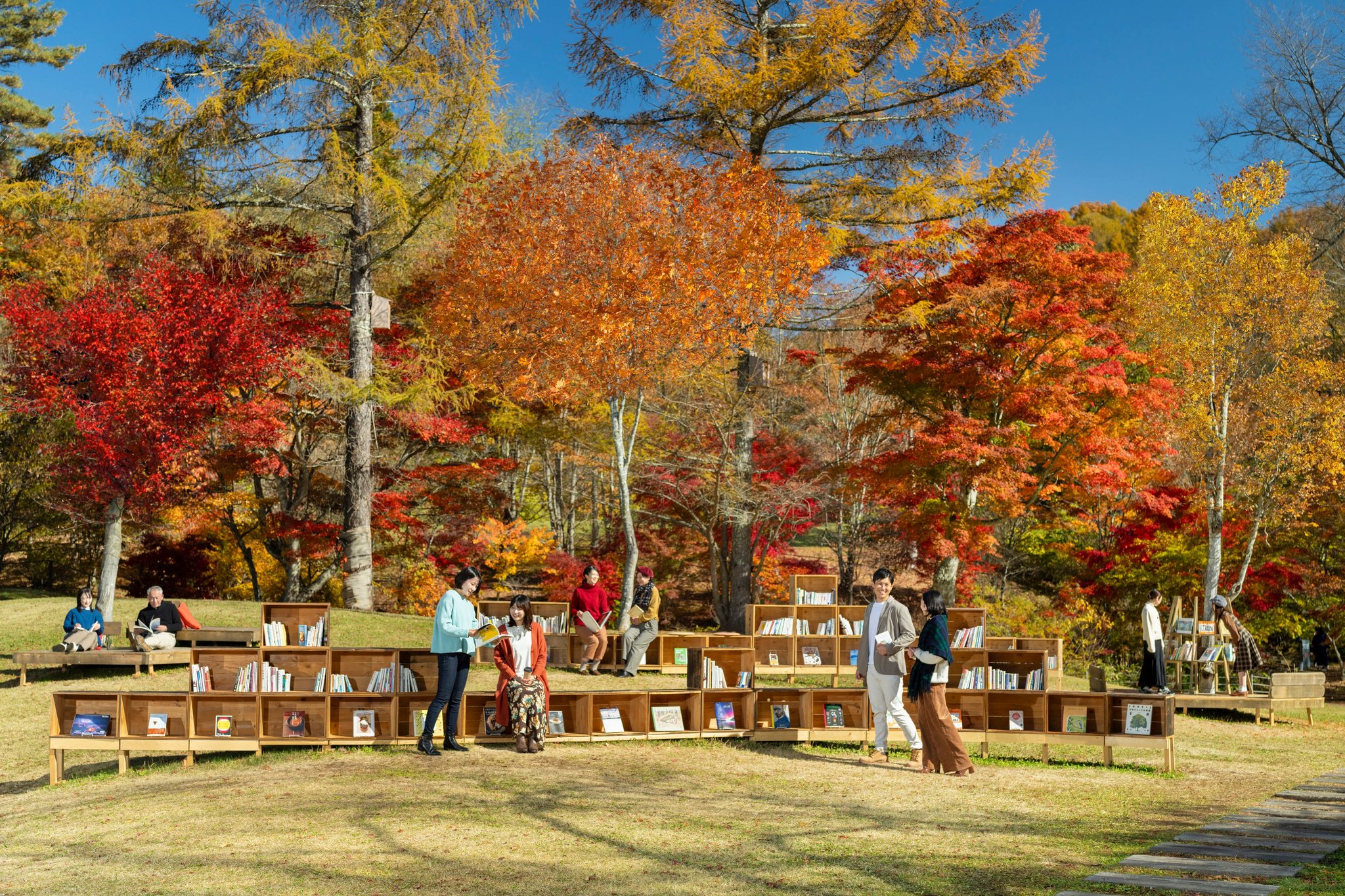 紅葉図書館 カラマツの丘