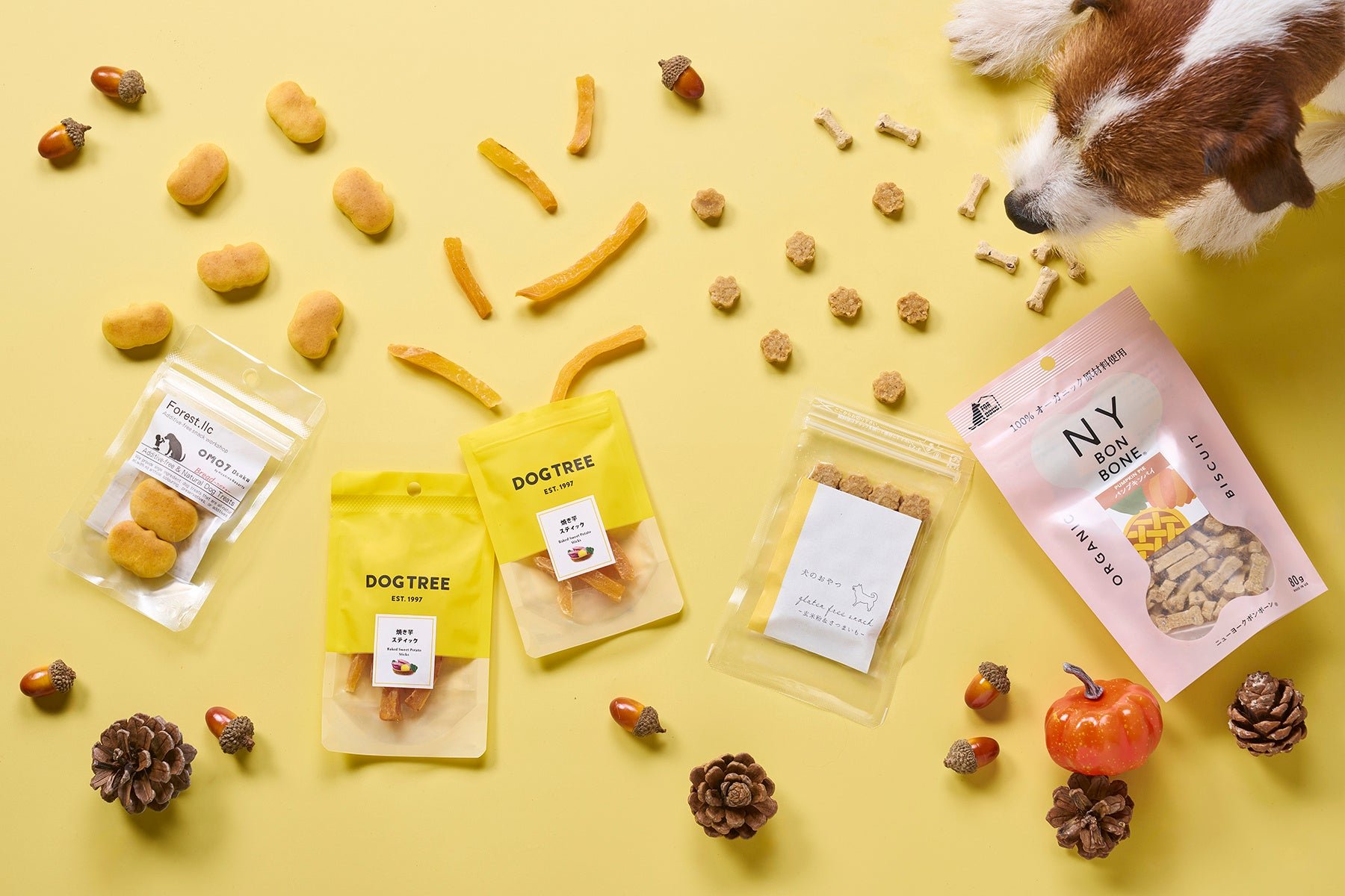 「Forest.」の骨形おやつや「DOGTREE」「NY BON BONE」など秋の犬用おやつ