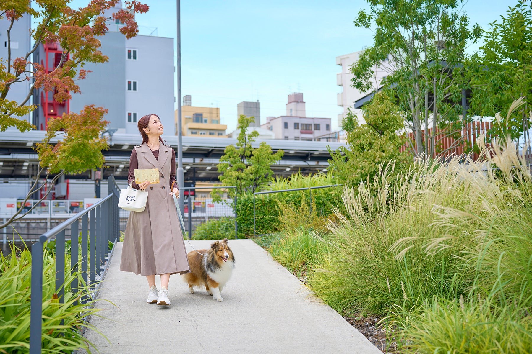 秋色の遊歩道を愛犬と歩く女性