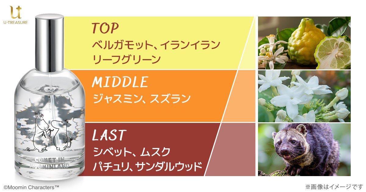 【ムーミン谷の彗星】オードトワレ 香りの構成(TOP・MIDDLE・LAST)