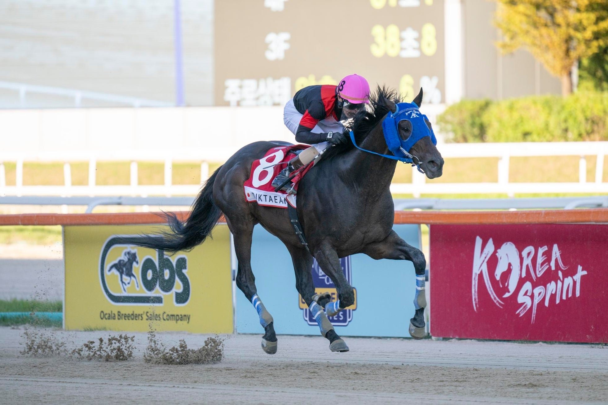 1着でゴールするディクテオン号