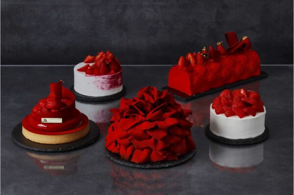 クリスマスケーキ5種の集合イメージ