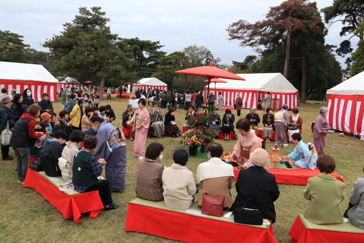 野点会場の全景