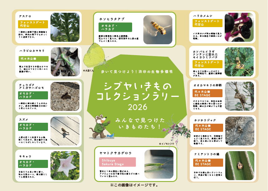 「シブヤいきもの図鑑」イメージ