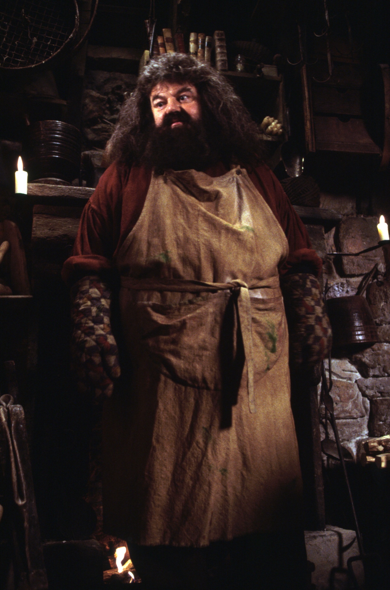 ハリー・ポッターを魔法界へ導くルビウス・ハグリッド