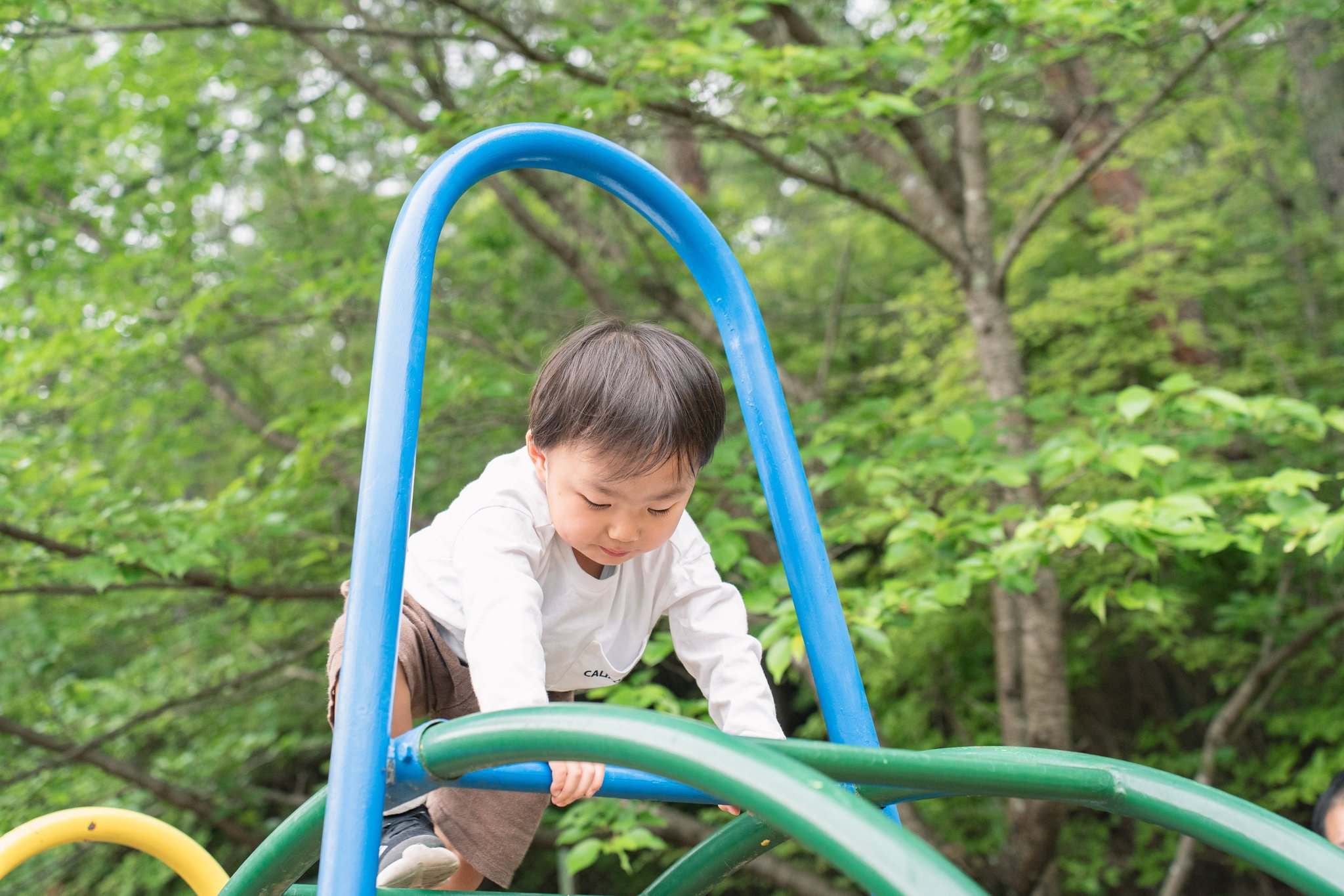 アスレチック遊具で遊ぶ子ども