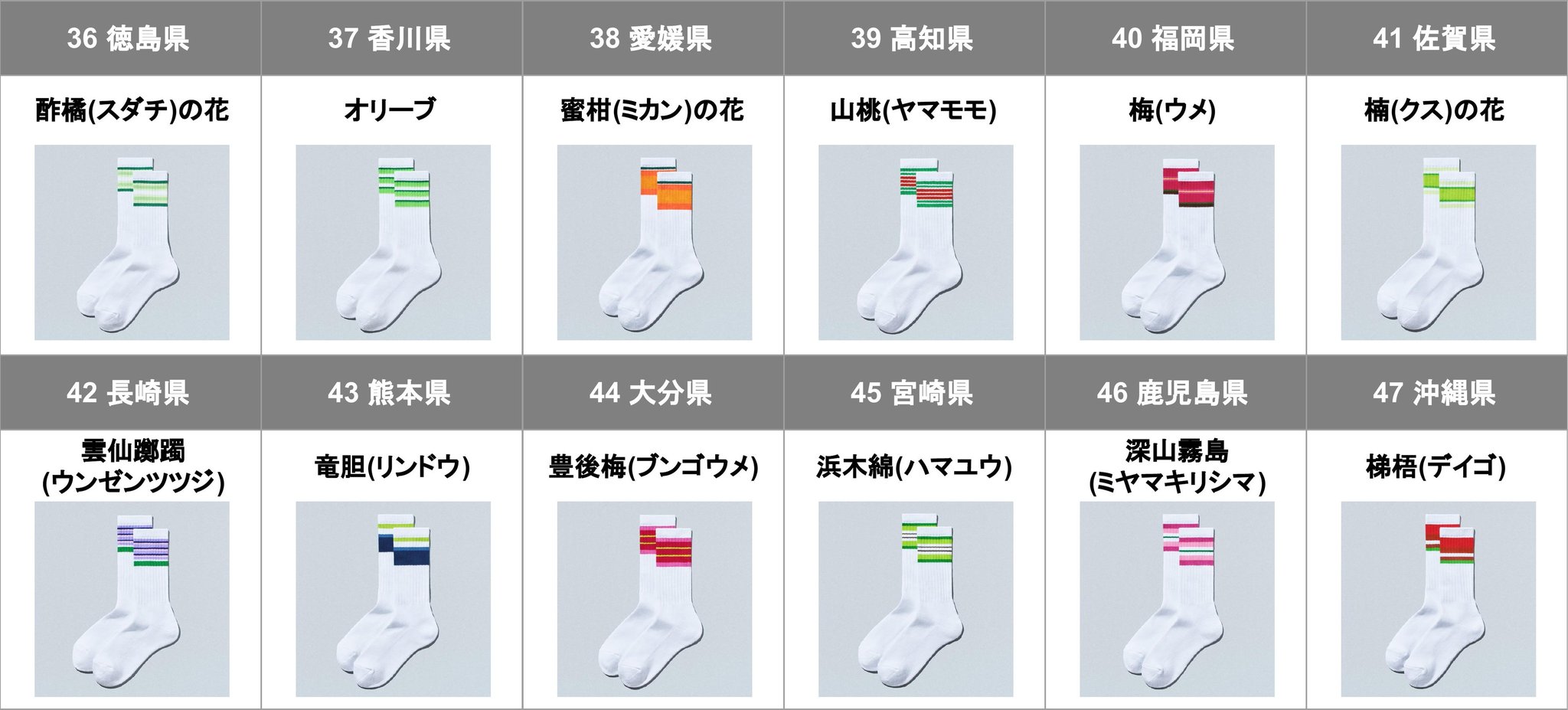 徳島県から沖縄県までの「47都道府県別ラインソックス」
