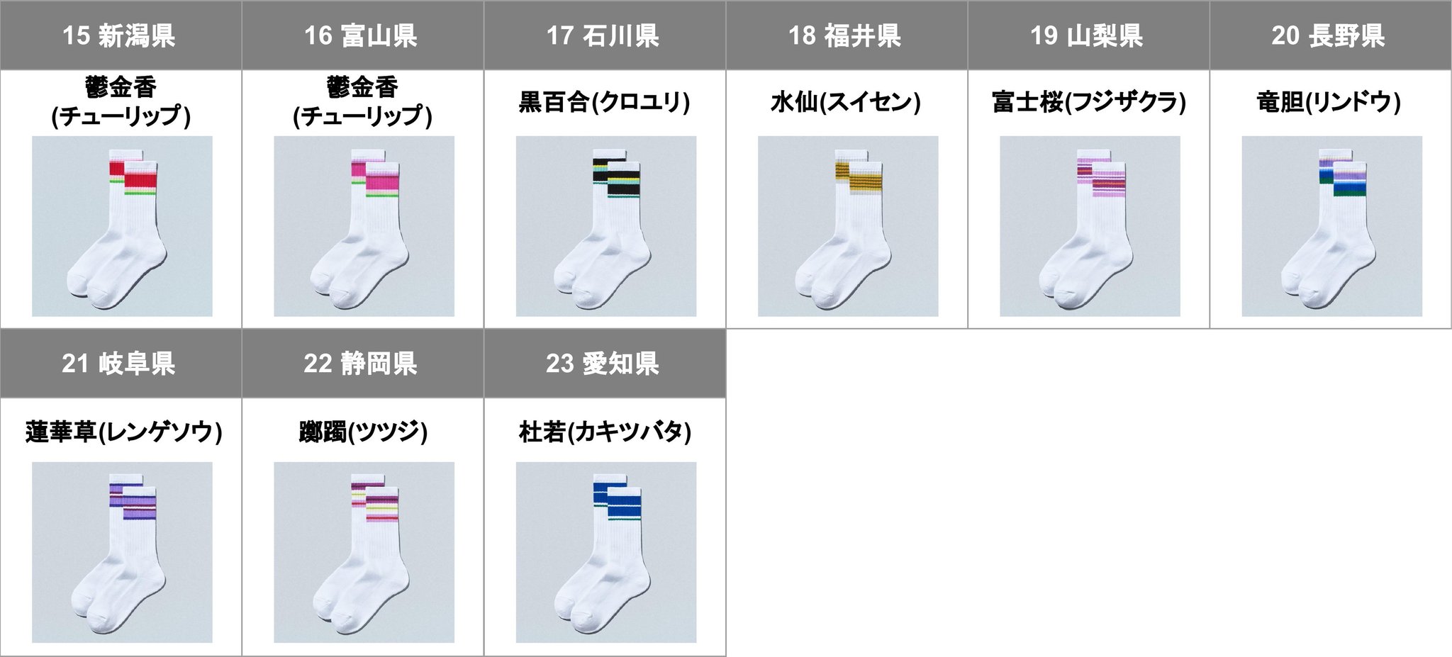 新潟県から愛知県までの「47都道府県別ラインソックス」